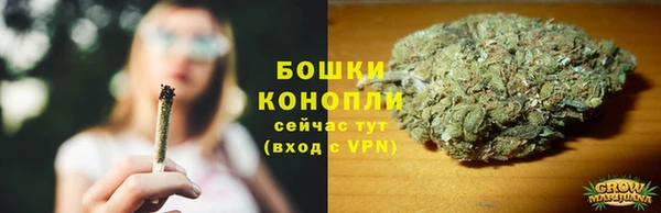 молекула духа Володарск