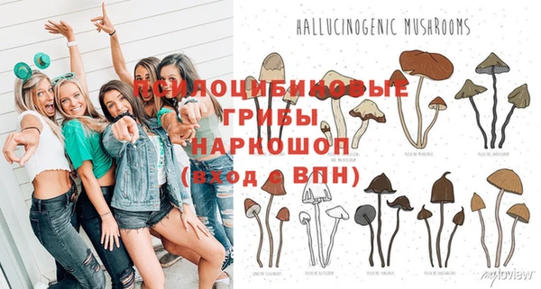 ГАЛЛЮЦИНОГЕННЫЕ ГРИБЫ Волоколамск
