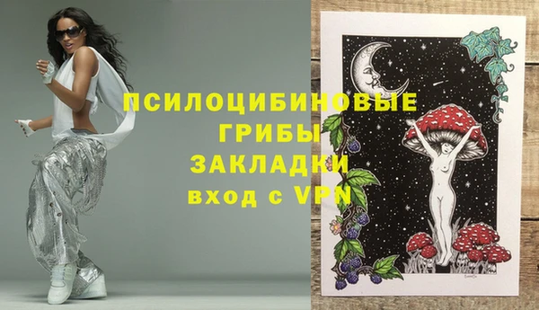 молекула духа Володарск